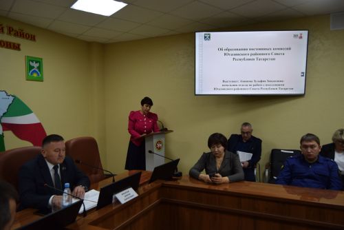 Постоянные и административная комиссии в действии