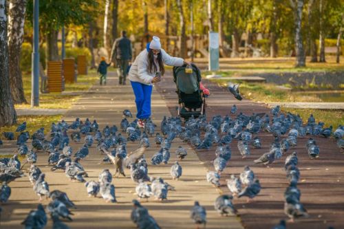 Влияние декрета на пенсию и стаж в Татарстане: что нужно знать