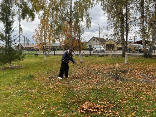 Уборка на пришкольной территории: вклад юных экологов