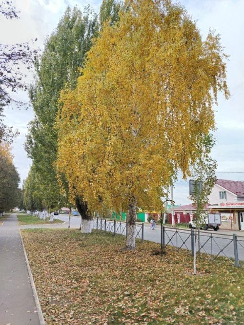 Какая погода будет 10 октября?