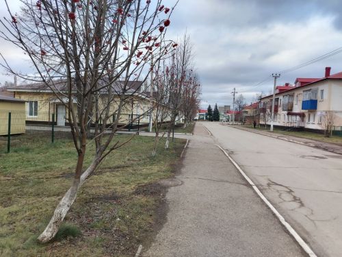 Доброе утро!
