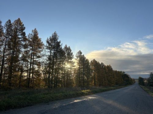 Гороскоп на 29 декабря: ждите интересных открытий