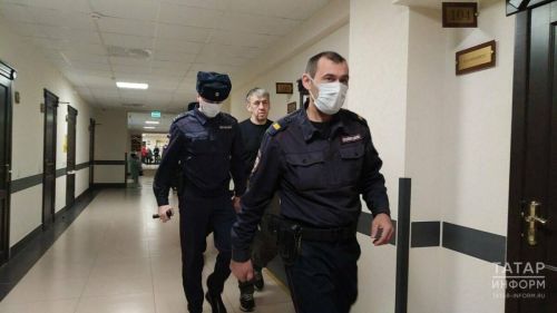 Суд арестовал главу приюта «Кот и Пес» после нападения стаи собак на девочку