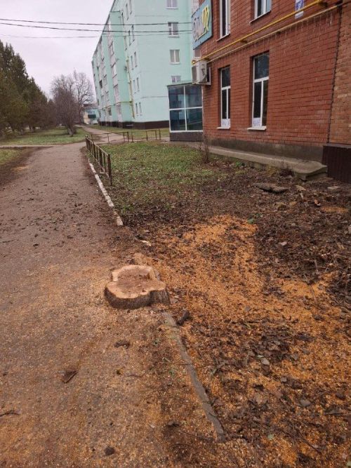 Декабрьский субботник на улице Джалиля