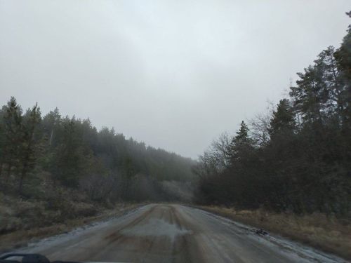 Желаем самого доброго утра!