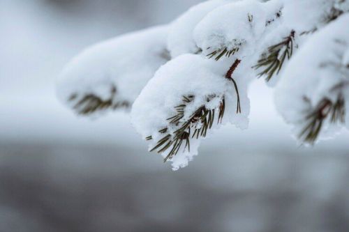 Народные приметы на 6 февраля