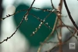Весна в Татарстан придет рано
