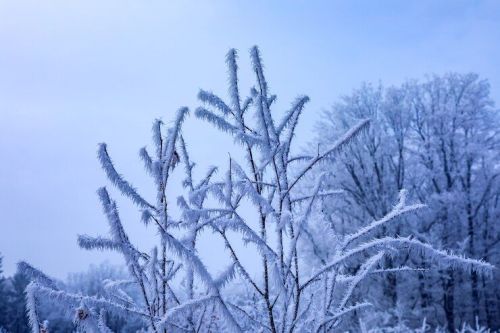 Погода на 10 февраля
