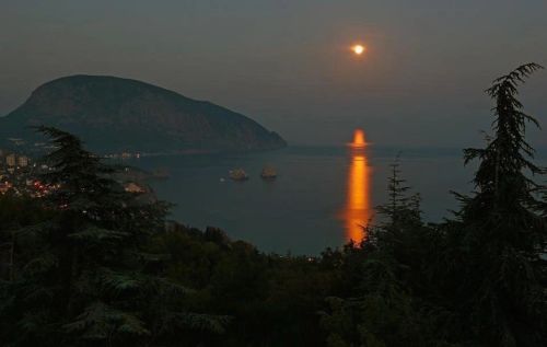 «Артек» — это состояние души