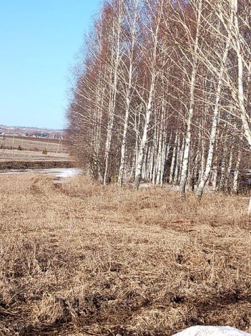Доброго утра и чудесного дня!