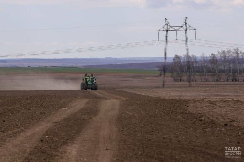 В Татарстане выделят 42 млрд рублей на весенние полевые работы