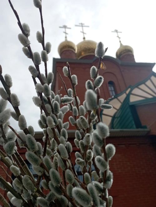 Вербное воскресенье: символ веры и надежды для каждого из нас