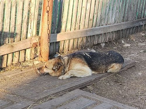 Сладких снов, наши подписчики!