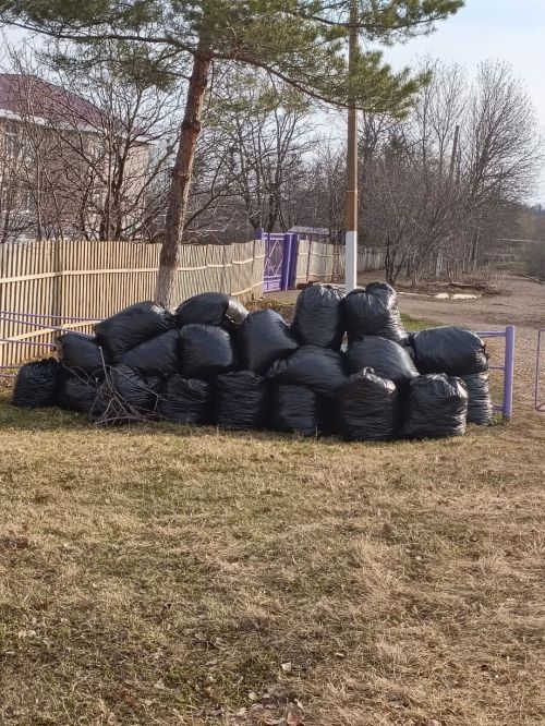 В Акбашской школе отметили Международный День Земли