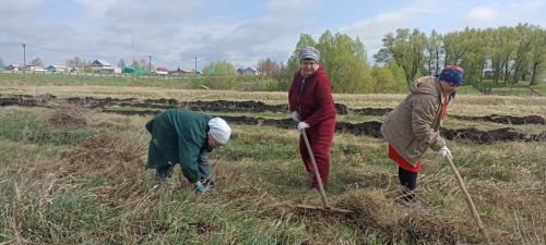 Посадка деревьев в память о героях