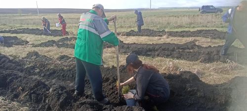 Посадка деревьев в память о героях