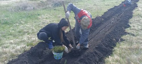 Посадка деревьев в память о героях