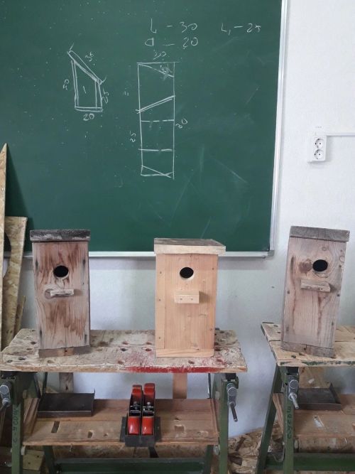 Староуруссинская школа участвует в республиканском конкурсе #ЭКОВЕСНА