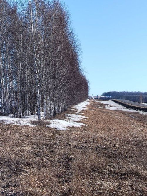 Доброе, светлое, позитивное утро!