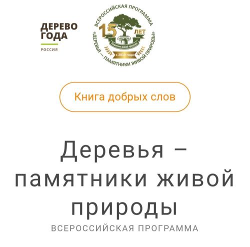 Татарстан представляет ель сибирскую в конкурсе «Российское дерево года – 2025»