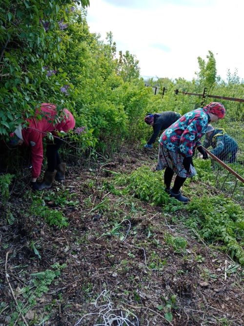 Субботник на кладбище села Каклы-Куль: общими силами к порядку
