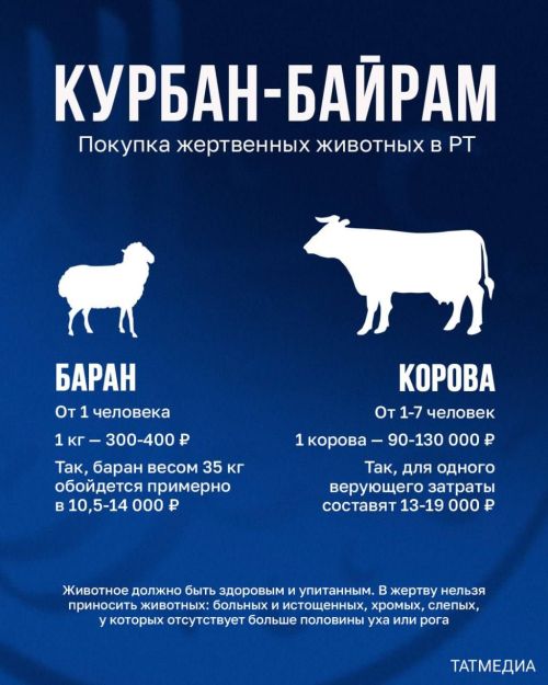 Курбан-байрам: во сколько обойдется покупка барана или коровы в Татарстане?