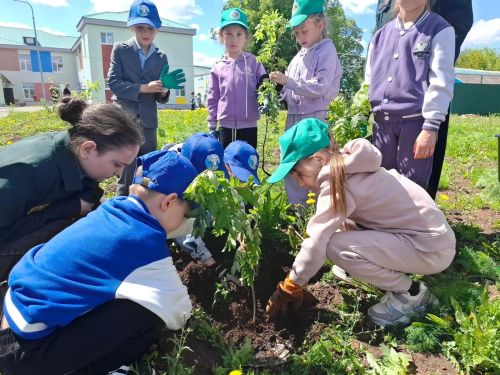 Экологическая акция «Посади дерево» в Ютазинской школе