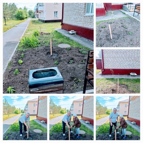 Совместные проекты по благоустройству: успехи ТОС