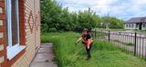 Субботник в Байряки-Тамакском сельском доме культуры