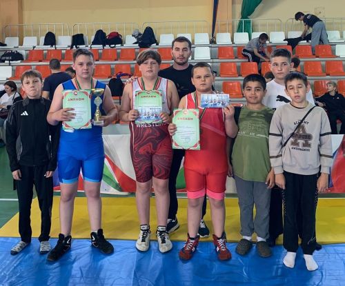 Первенство Татарстана по борьбе среди юношей