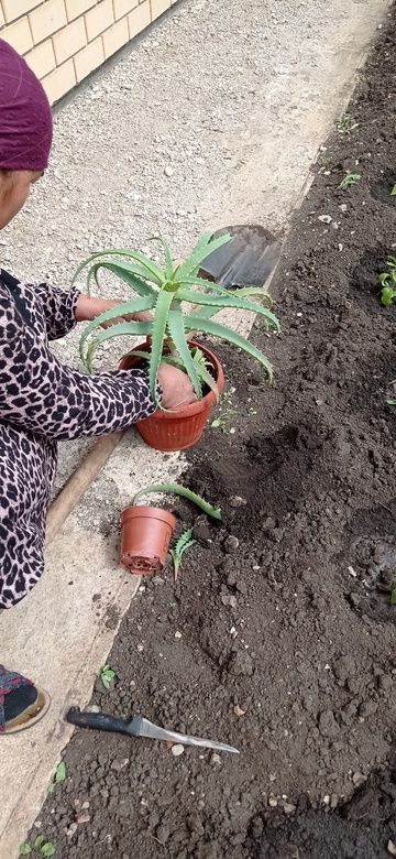 Субботник в Байряки-Тамакском сельском доме культуры