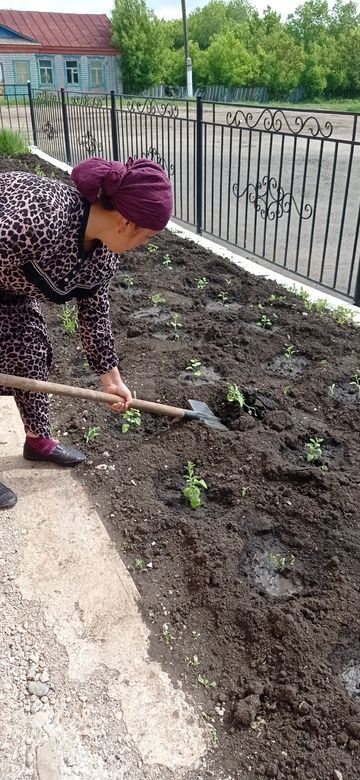 Субботник в Байряки-Тамакском сельском доме культуры