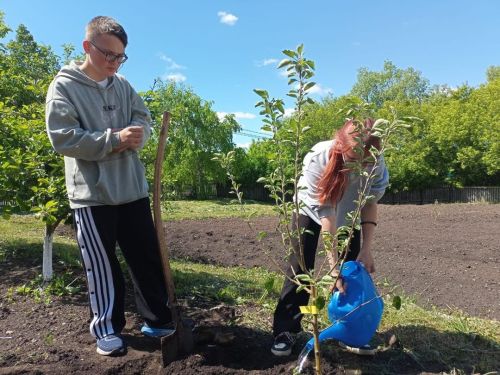 Посадка яблонь в честь героев