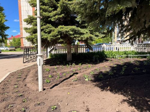 Субботник по благоустройству школы