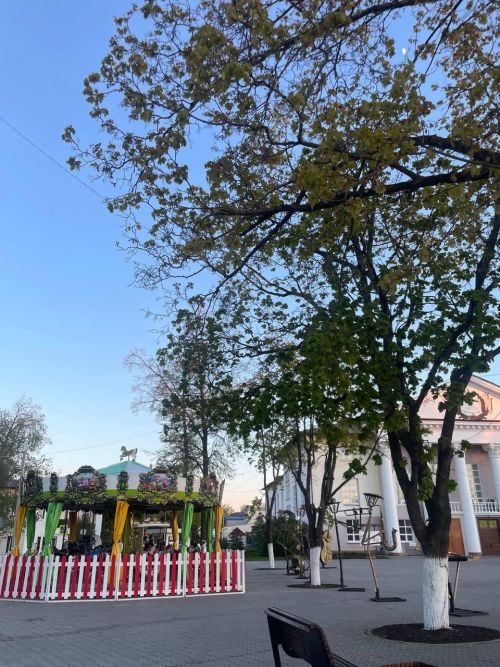 Доброе, светлое, позитивное утро! 🌞