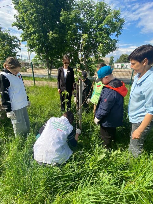 Бумеранг добра: сад для новых поколений