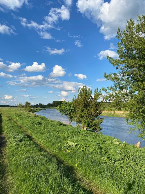 Доброе утро и отличного дня! 🌞
