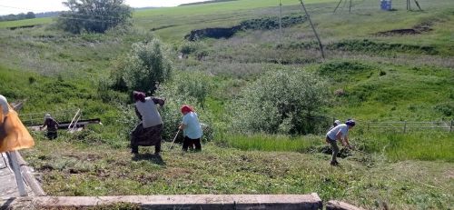 Субботник у родника: вместе для комфорта и чистоты