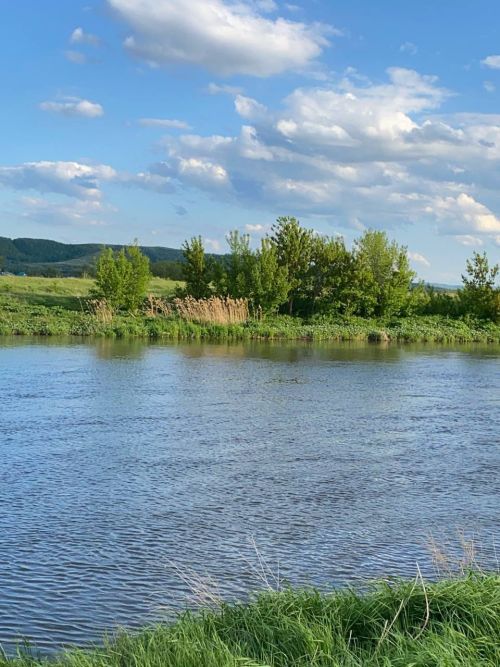 Доброе утро и прекрасного дня!