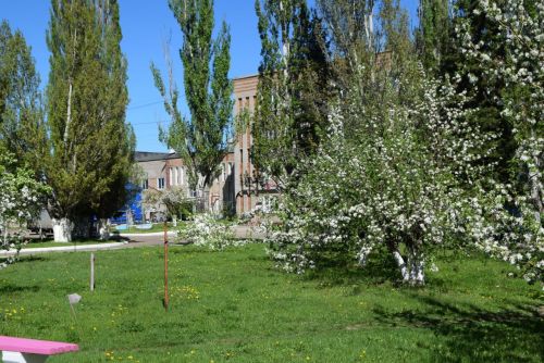 Завод не производит мечи, кует щиты