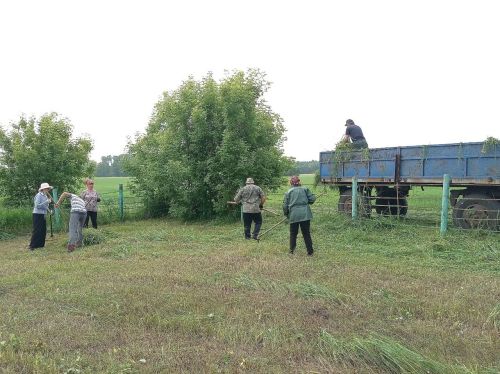 «Вместе — мы сила!» Волонтёрская акция в селе Кряш-Буляк