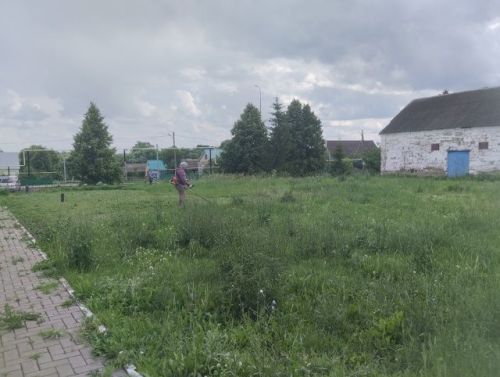 Участие в волонтёрской акции «Чистое село — дело каждого»