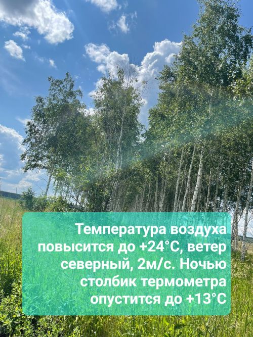 Прогноз погоды для Ютазинского района на 14 июля