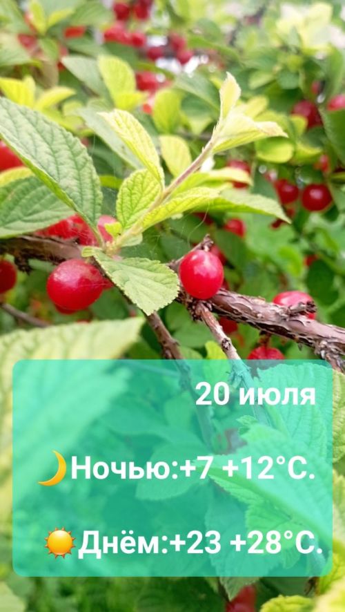 Прогноз погоды на 20 июля