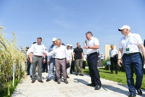 Рустам Минниханов отметил вклад аграриев на выставке «Агроволга»