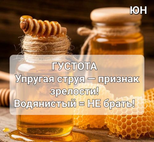 Август в Ютазинском районе — горячая пора для сбора самого душистого и полезного мёда нового урожая