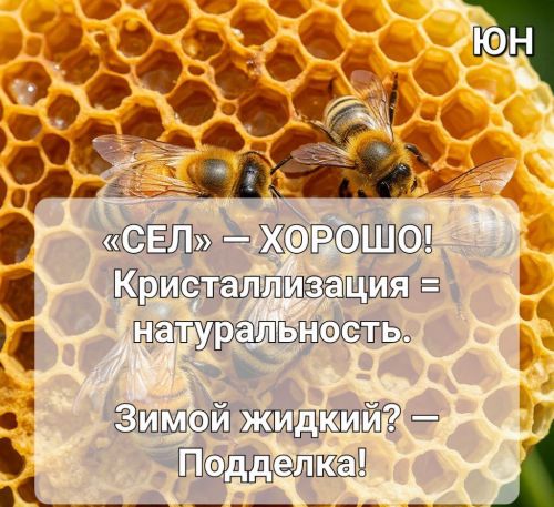 Август в Ютазинском районе — горячая пора для сбора самого душистого и полезного мёда нового урожая