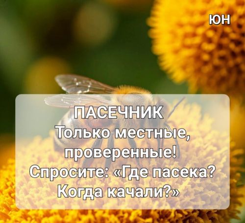 Август в Ютазинском районе — горячая пора для сбора самого душистого и полезного мёда нового урожая