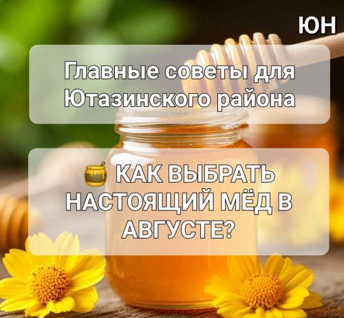 Август в Ютазинском районе — горячая пора для сбора самого душистого и полезного мёда нового урожая