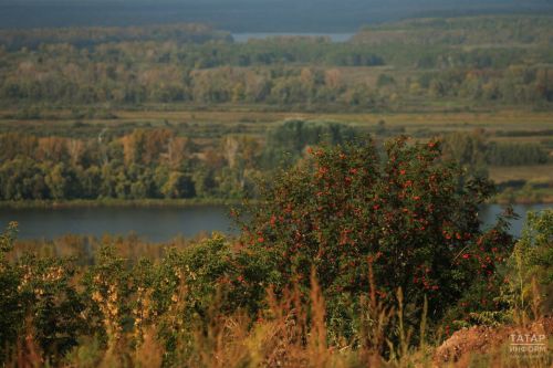 В Татарстане ожидается аномально тёплая середина сентября